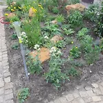 Διαμέρισμα Zur Alten Sommerkueche Markische Heide