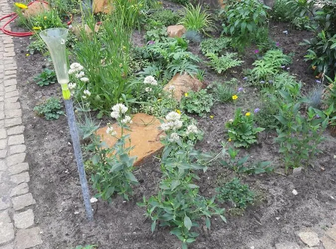 شقة Zur Alten Sommerkueche Markische Heide